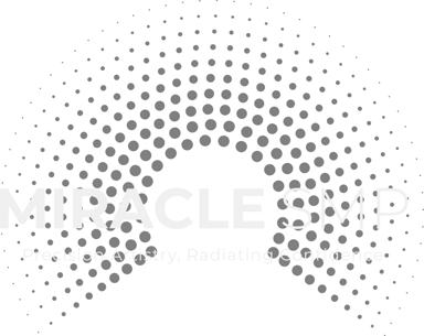 Miracle SMP